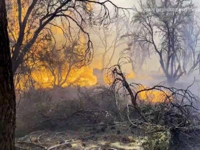 Incendio amenaza viviendas en California