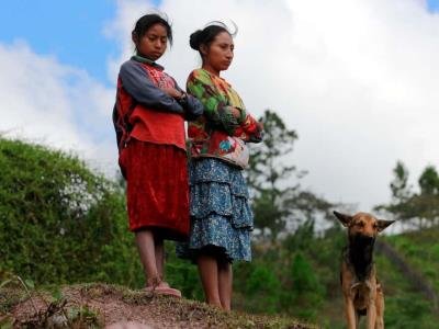 ONU pide a Honduras garantizar el territorio de los pueblos indígenas