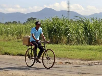 Zafra cubana obtiene su peor resultado en más de un siglo