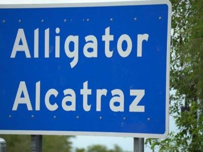 Actualidad: Información Exclusiva: Controversia En Centro De Detención Migrantes Florida