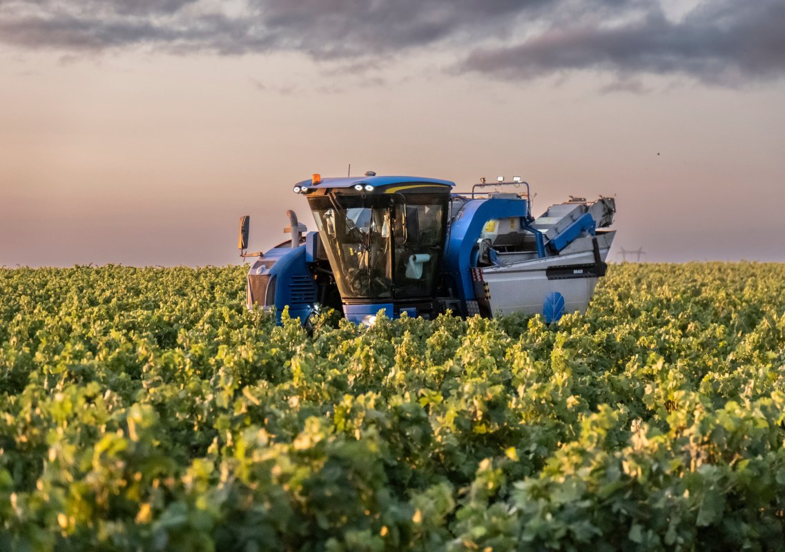 En Directo: La Tormenta Perfecta En Una Copa: Estas Son Las Amenazas Que Oscurecen El Futuro Del Vino