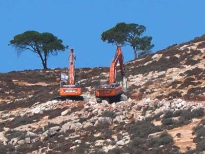 Información Exclusiva: Excavadoras Israelíes Arrancan Cientos De Árboles En Cisjordania