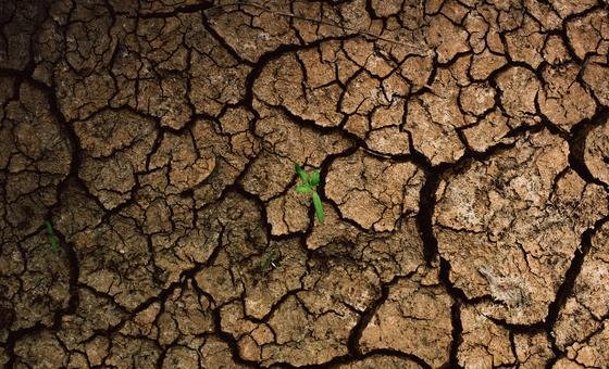 Especial: El Cambio Climático Empujará A Casi Seis Millones De Niños Y Jóvenes A La Pobreza En América Latina