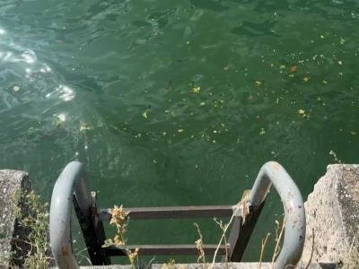 Hallan Cadáver En Río Sena Cerca De París
