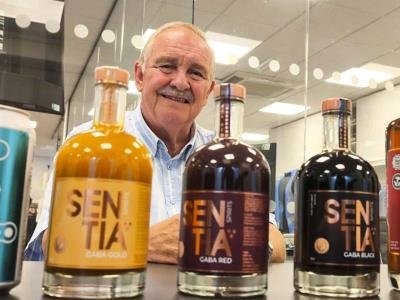Análisis: Descubre La Cerveza Sin Alcohol Que Simula Efectos De Embriaguez