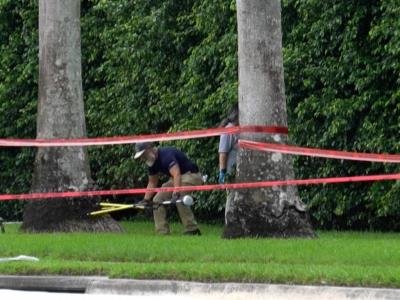 Análisis: Juicio En Florida: Hombre Acusado De Planear Asesinato De Donald Trump