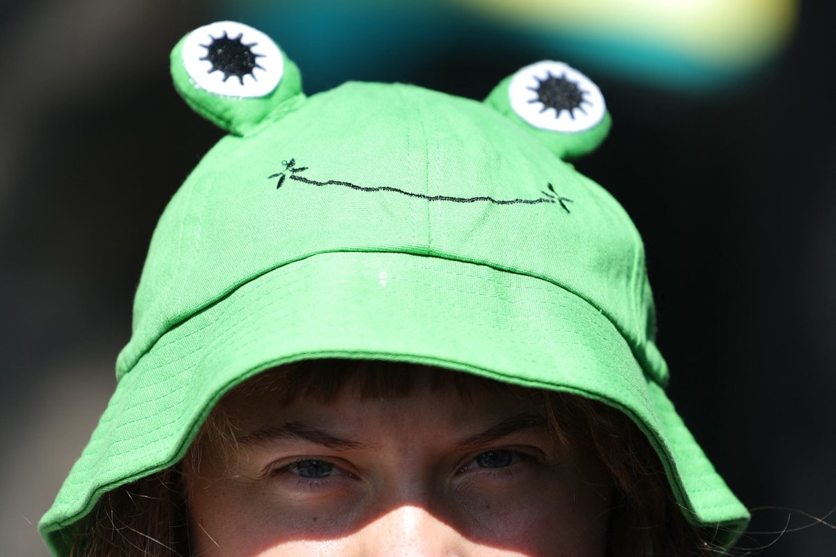 El Sombrero De Rana De Greta Thunberg, Un Moderno Símbolo De La Resistencia Pacífica
