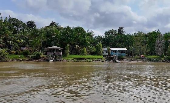 Una escuela del Amazonas desafía el cambio climático