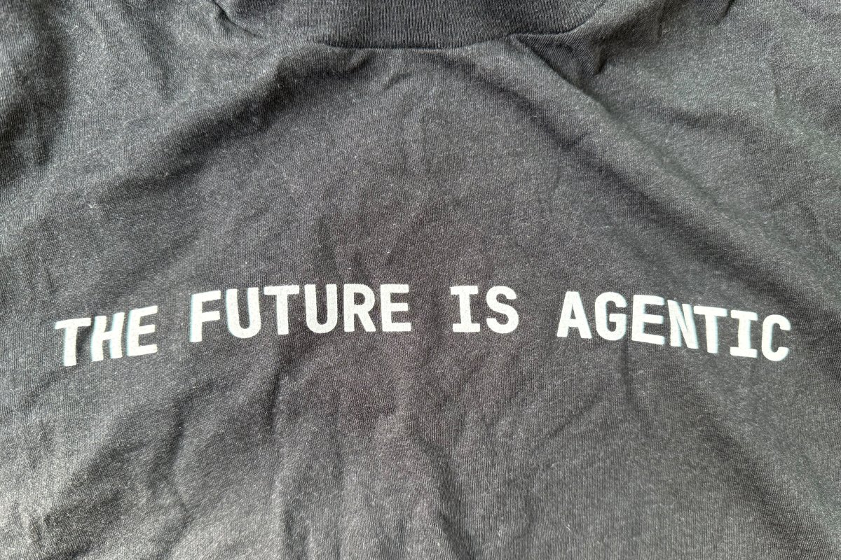 ¿Qué es la web agéntica? Así delegaremos nuestras decisiones en enjambres de máquinas pensantes