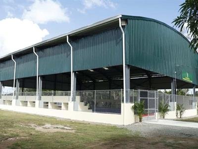 Últimas Noticias: Abinader Y Cruz Inauguran Techado Multiuso En Campamento Militar