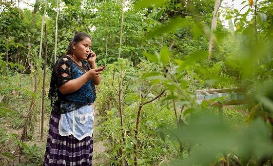 Mujeres Indígenas Alzan La Voz Ante La Creciente Ola De Violencia Digital En América Latina