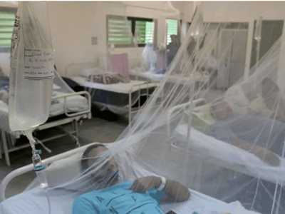 OPS advierte que crisis en Cuba limita lucha contra la chikunguña