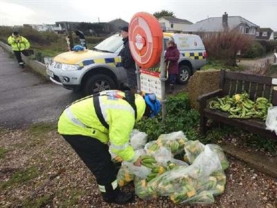 Plátanos llegan en olas a las costas inglesas