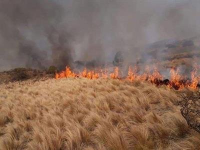 Siete provincias de Argentina en alerta por incendios
