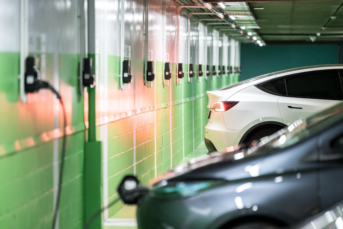 La Electrificación En Peligro