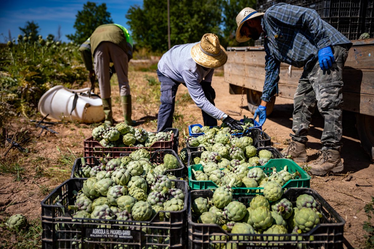 Reportan Que El Gobierno Propone Subir El Salario Mínimo Un 3,1%, Hasta Los 1.221 Euros Mensuales En 2026