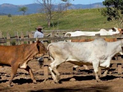 Concesiones Ue Agricultores Por Acuerdo Ue-Mercosur