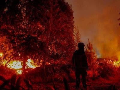 Desarrollo: Detienen Sospechoso De Iniciar Fuego En Zona De Incendios En Chile
