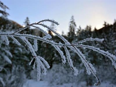 Especial: Oeste De Canadá Registra Temperaturas Más Bajas De Su Historia