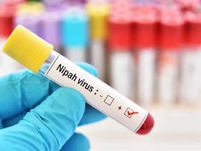 Se Confirma: La India Rebaja La Alarma Por El Virus Nipah