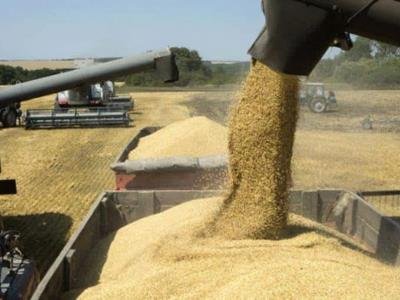 Demanda de proteína animal eleva el uso de la soya