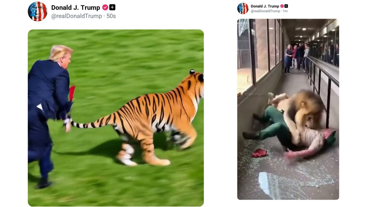 La familia del joven británico al que mató un tigre pide que no se difunda el vídeo del ataque después de que Trump lo hiciera