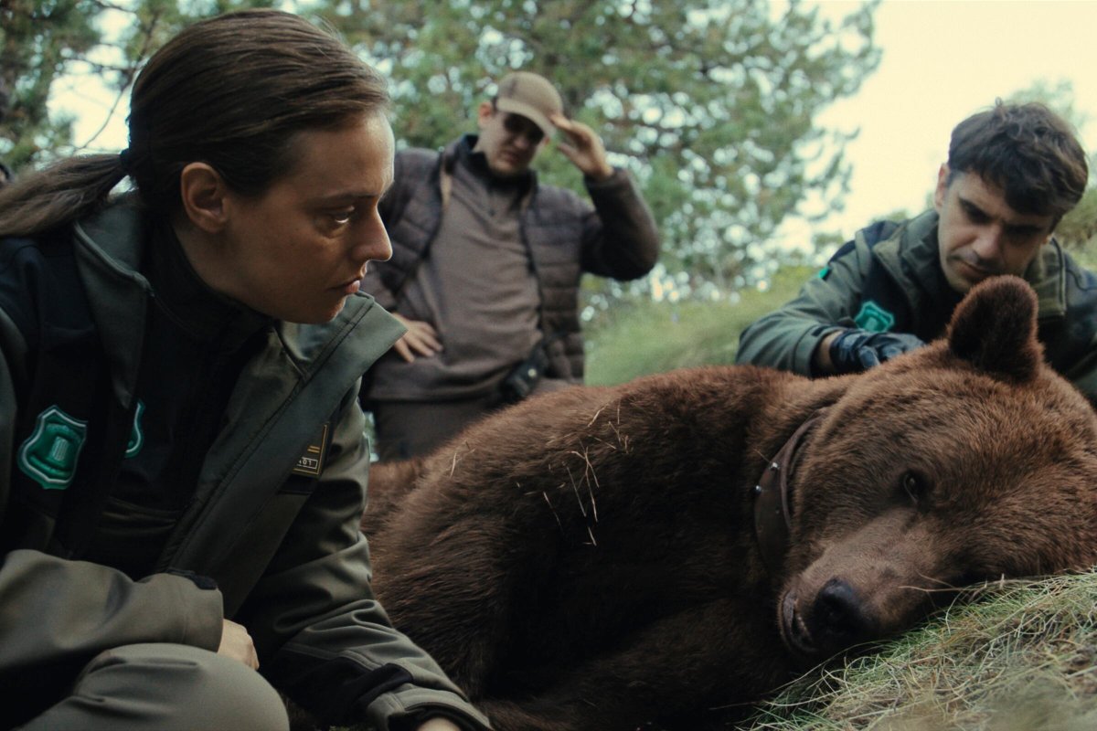‘Matar a un oso’: la serie que cuenta cómo el asesinato de un plantígrado se convirtió en una exhaustiva investigación judicial
